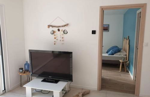 Maison récent proche du lac de Léon et de l'Océan - Foto 6