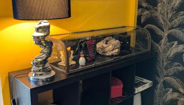 Charme, vue et piscine naturelle - Foto 5