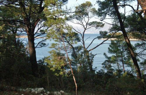 Apartments by the sea Pomena, Mljet - 614 - Photo 26