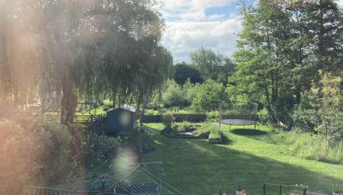 Room with a View - Photo 5