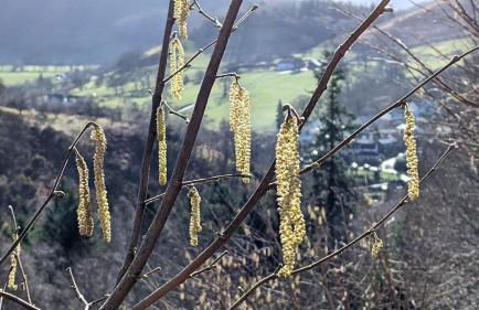 Oakside Cottage Braithwaite - Foto 19