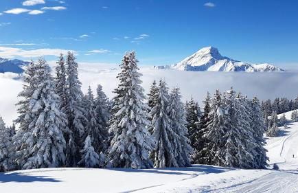 Appartement lumineux à La Chapelle-d'Abondance, vue montagne. - Foto 18