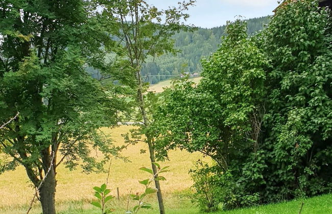 4 Person Holiday Home in Jarvso-by Traum - Photo 33