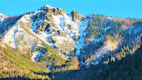 Sequoia Trails, mountains, fun & relax - Foto 5