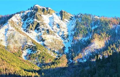 Sequoia Trails, mountains, fun & relax - Foto 5