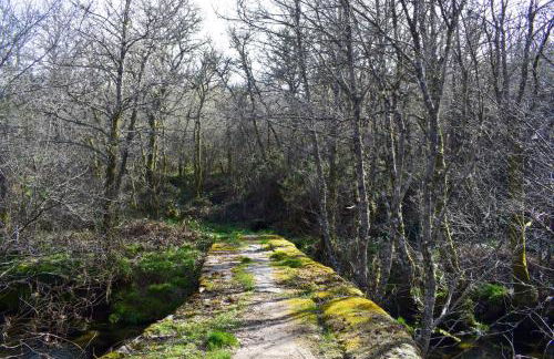 Casa da Escola By Villa Regalenga - Foto 6