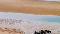 Toute une Histoire - Foto 5