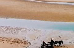 Toute une Histoire - Foto 5