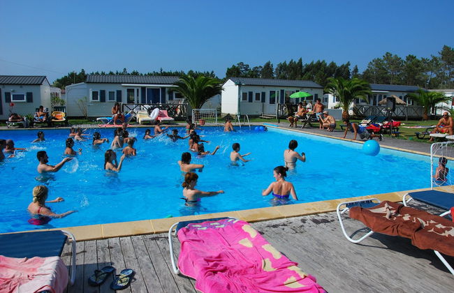 Casa da Felicidade - Three Bedroom House in Pataias - Foto 17