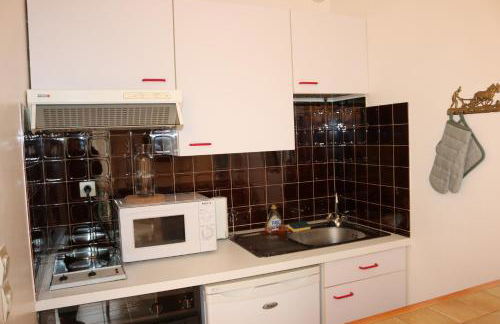 Agréable appartement au calme avec vue montagne, commune de Le Monêtier les Bains - Le Freyssinet - Photo 14