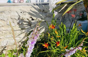 Résidence Clos des Aigrettes -Appartement de charme et confort à 30m du Port de La Cotinière - Foto 77