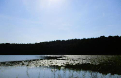 Holiday Home in Kolczewo near Baltic Beaches - Foto 43