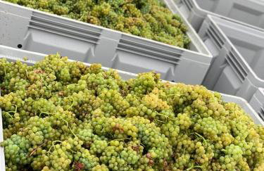 The Hampton Hock's - Wellness & Wine - Foto 76