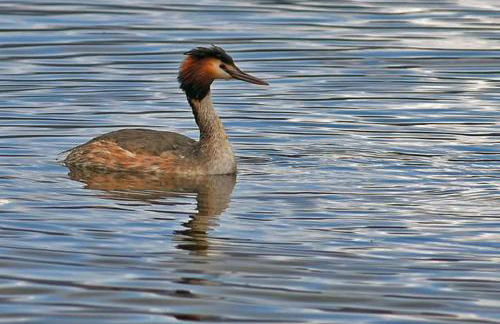 La casetta dei Desideri - Foto 33