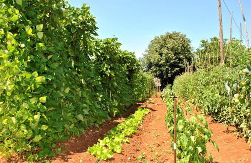 Apartment Pino - Foto 16