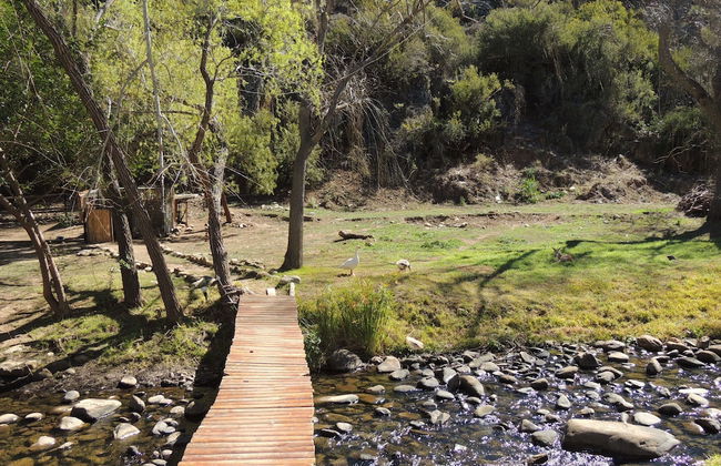 Cango Retreat - Foto 35