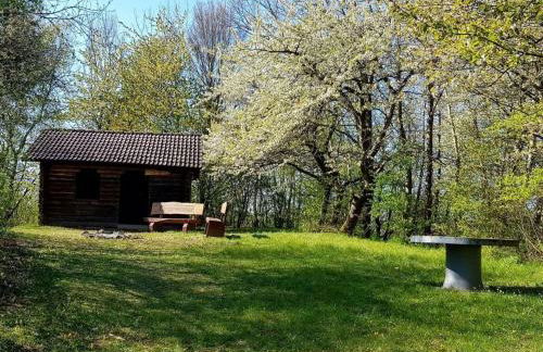 Lovely Apartment in Hesse - Foto 12