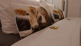 Ferienwohnung Bergblume - Photo 3