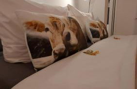 Ferienwohnung Bergblume - Foto 3