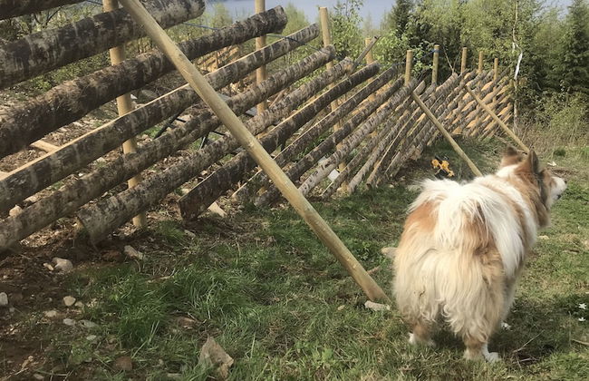 Villa Fjara - Foto 32