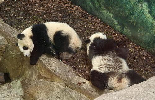 Gite de la Guernouille - Foto 31
