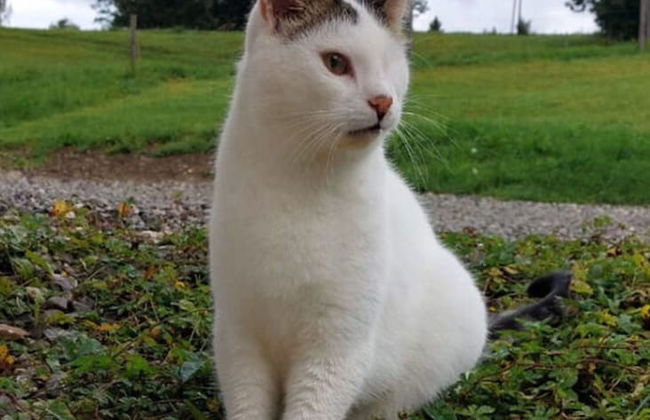 Holiday Apartment Almstuberl - Photo 14