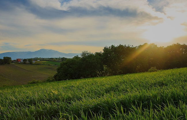 Hotel Residence Eden - Foto 69