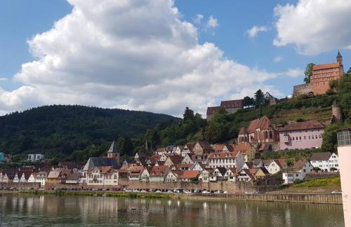Zauberhafte Wohnung in der Nähe von Heidelberg, top Lage - Foto 34