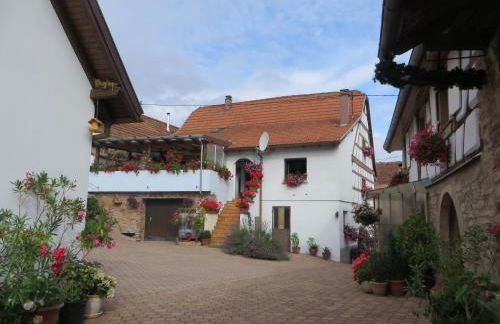 Location Alice - Photo 12