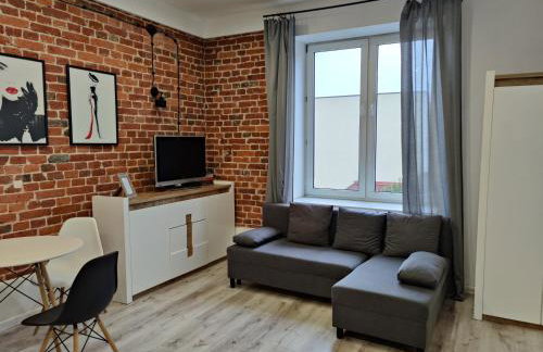 Konopnickiej 9 Apartament Loft dostęp na kod, Ptak, Orientarium, Atlas ARENA, Szpital, Mandoria, Fala, Centrum Zdrowia Matki Polki, Rodzina, Family, bezpłatny parking - Foto 1