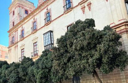 LUMINOSO APARTAMENTO en el centro de Cádiz - Foto 40