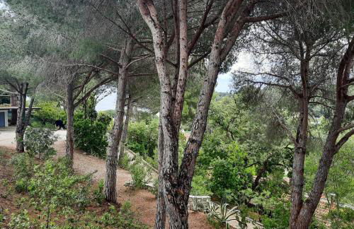 Villa Leonida - Foto 35