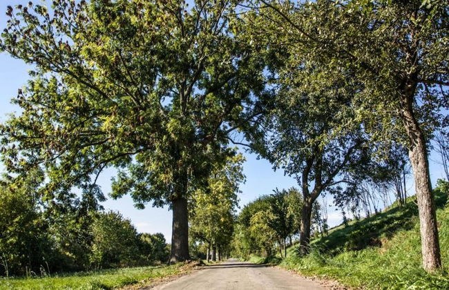 Apartment With Views of the Ore Mountains - Foto 32