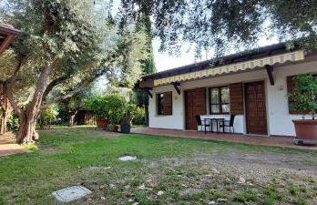Elisa Holidays Apartments - Foto 3