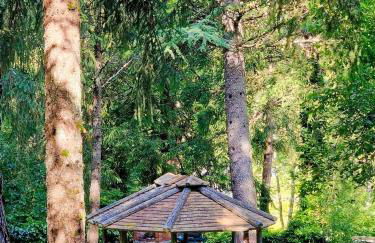 La Stella Alpina - Photo 18