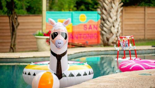 Pool! Games! Dogs! Space! - Foto 5