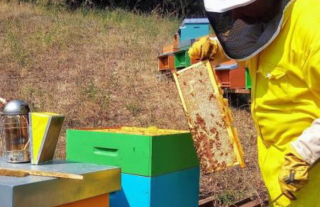 Agriturismo Alla Vecchia Quercia - Foto 67