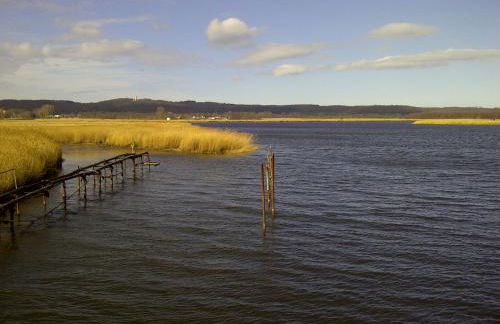 Ferienhaus Boddenkiek mit Wasserblick in Seedorf - Foto 5