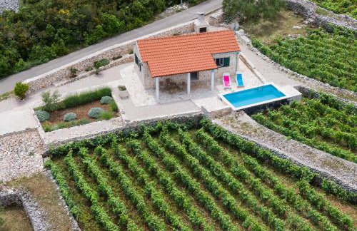 Vineyard House & Olive Grove House - Photo 11