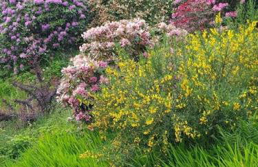 Upper Villa, Tighnabruiach, Argyll & Bute - Foto 12