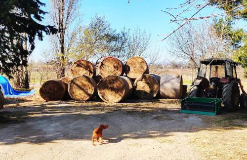 Au cœur de la Nature - Foto 12