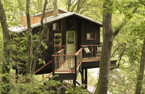 Treetop Hideaways: The Elements Treehouse - Foto 6