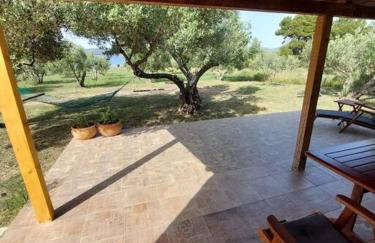 Robinson house Sea & olives - Photo 13