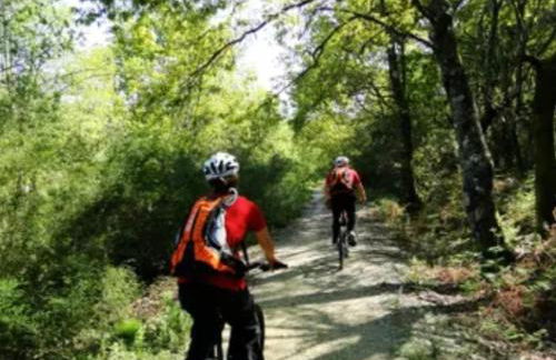 Casa Barca Velha - Foto 7