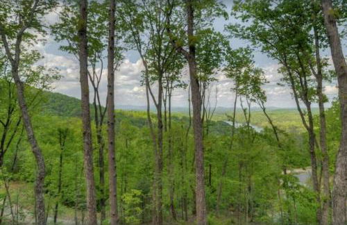 Sky High Lodge - Blue Ridge - Foto 19