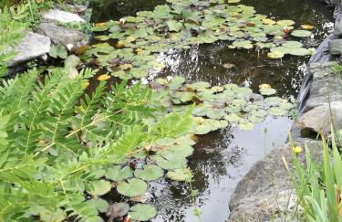 Casa Campo das Bizarras - Foto 41