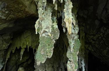 Casa Petar Betari - Foto 65