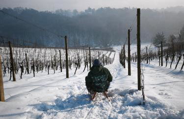 Tweet Apartments with Sauna and optional Breakfast Close To Terme Sveti Martin - Foto 11