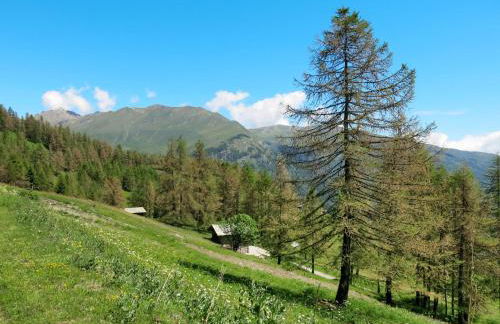 Chalet Casot Pra Viei by Interhome - Foto 7