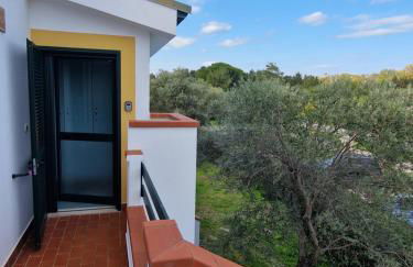 Nina's house ulivo sul mare a 300 mt dal mare - Photo 13